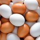 Illustration for article titled What's the Real Difference Between Brown and White Eggs?